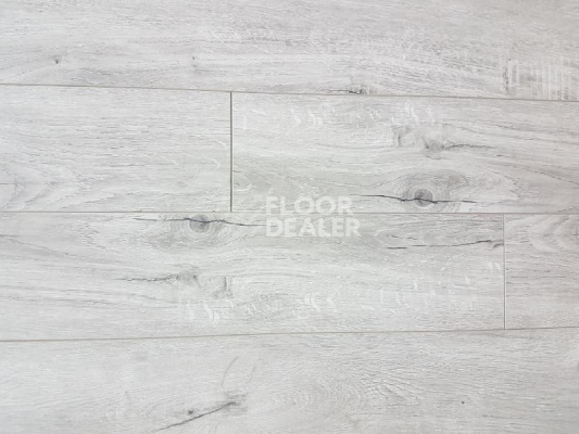 Ламинат Biela Cbm Silence 10мм 725-10 Дуб Онега фото 1 | FLOORDEALER